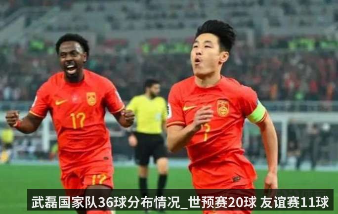 武磊国家队36球分布情况_世预赛20球 友谊赛11球